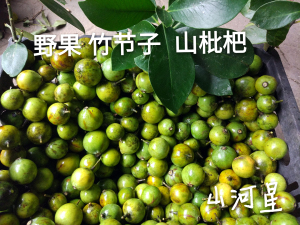 80金利来美味山货店淘宝4份免邮 内蒙古特产 沙果干 酸甜可口 果干