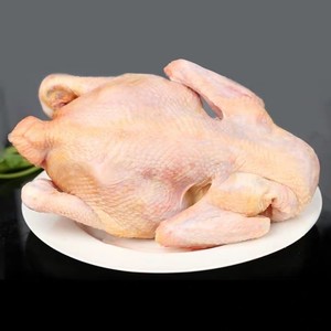 农村散养三黄土鸡走地鸡草鸡整鸡柴鸡肉整只鸡老母鸡