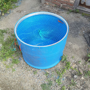 加厚圆形活鱼运输桶塑料鱼桶加钢圈防跳鱼桶拉鱼专用塑料桶摔不破