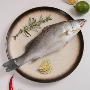 海捕海鲈鱼鲜活冷冻特大海鲜水产七星白鲈新鲜非腌制3斤顺丰包邮