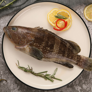 【新鲜石斑鱼】新鲜石斑鱼品牌,价格 - 阿里巴巴