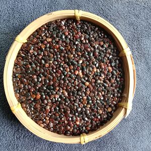 筛选枳椇子500克拐枣籽可组合葛根枳椇子茶中药材泡水喝