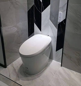 杜菲尼智能马桶