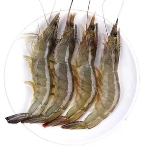 鲜活速冻淡水养殖对虾南美白对虾厄瓜多尔白虾顺丰4斤