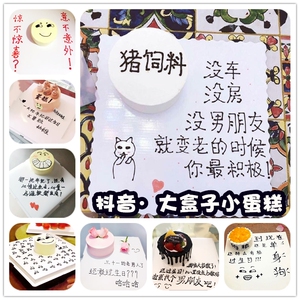 南宁生日蛋糕抖音大盒子小蛋糕恶搞惊喜整人搞笑网红蛋糕迷你蛋糕
