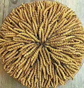 冬虫夏草三根一克-淘宝拼多多热销冬虫夏草三根一克