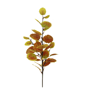 仿真枫树叶子植物欧洲山杨叶枫杨树叶子枫杨花槐树洋槐花装饰直销