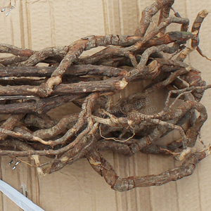 新货广东农家野生黑老虎根药材酒饭团根钻骨风冷饭团根自挖500克