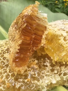 蜂巢蜜嚼着吃野生蜂蜜缅甸产老土峰蜜带巢500g一斤装