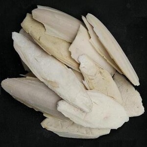 乌贼骨头