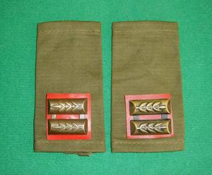 以色列国防军(idf)军版原品陆军常服军衔肩章--中尉