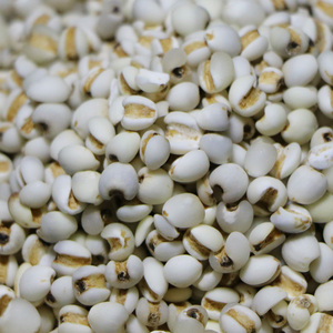 精选小薏米仁 薏米 薏仁米 苡米仁500g*2 农家五谷杂粮粗粮粮油