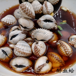 血蛤鲜活