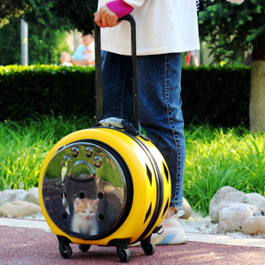猫咪外出拉杆箱超大容量透明宠物行李箱背包便携狗狗手提双肩猫包