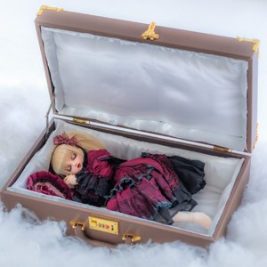 sd娃娃蔷薇少女