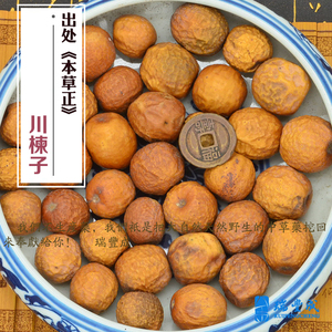 500克 川楝子 川楝树子 不是苦楝子 整颗大号 另有切断 炒川楝子