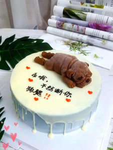 网红沙皮狗生日蛋糕预订同城配送速递北京深圳哈尔滨江门湛江铜陵