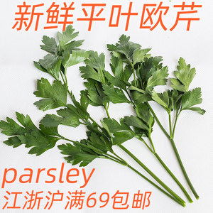 新鲜意大利芹平叶欧芹parsley西餐配菜香料沙拉凉拌食材