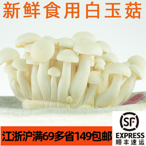 新鲜食用菌白玉菇真姬菇蘑菇小海鲜菇家常食材无泥沙火锅烧汤炒菜