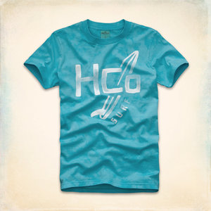 Hollister HCO修身男装图案短袖纯棉男士印花圆领休闲字母T恤现货