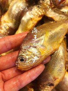 【海王】东海鲜活海鲜野生海捕深海小黄鱼大梅鱼 1斤10-12条 新鲜