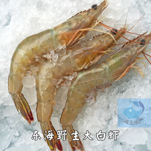 【海王】东海鲜活海鲜 野生海捕大白虾对虾明虾新鲜 1斤约14-15尾