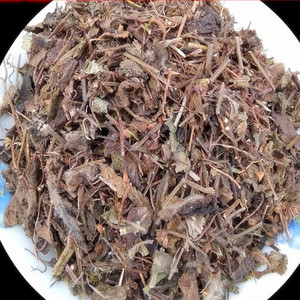 中药材 紫根草 甲状腺结节 桥本 肿大 甲亢 稀缺药材