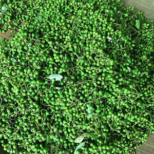 湖南新鲜木姜子野生山胡椒现摘现发食用木酱子山仓子1斤500克包邮