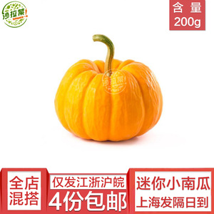【沙拉菜】新鲜蔬菜 迷你小南瓜 万圣节金桔瓜太阳果一个约200g