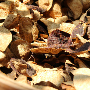 「5年陈皮」茶农茶舍小诗家新会5年大红老陈皮 50克/包