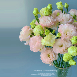 鲜花速递同城家用生日