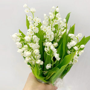 铃兰花手捧花鲜花