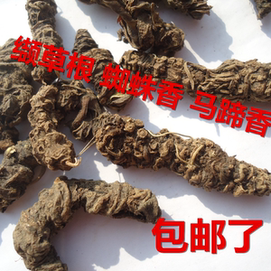 无硫缬草 缬草根 蜘蛛香 马蹄香粉蜘蛛香粉500g/35元包邮