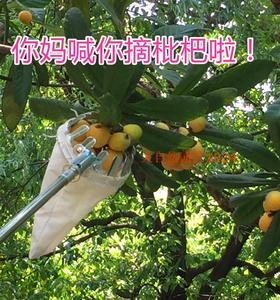 高空伸缩杆摘果神器采石榴冬枣杨桃杏李芒果枇杷杨梅手水果猕猴桃