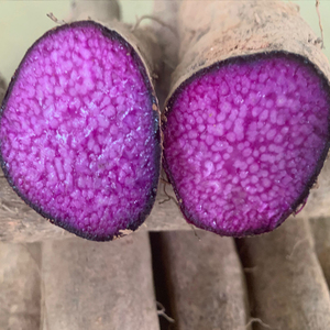 多省包邮紫山药德庆紫大薯新鲜挖农家毛薯3/4/5/10/20斤(中的)