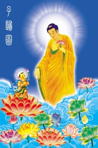 普惠结缘佛陀画像净土阿弥陀佛佛像接引站像图片纸双面塑封