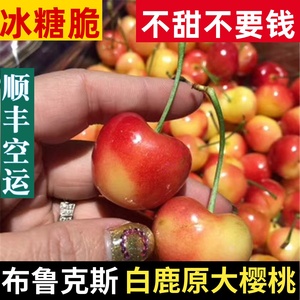 【脆甜】现摘国产布鲁克斯陕西白鹿原大樱桃孕妇新鲜水果车厘子