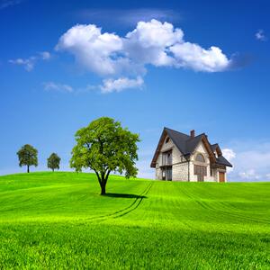 fj1170定制环保高清蓝天白云草地风景8d景自然风景绿色护眼风景画