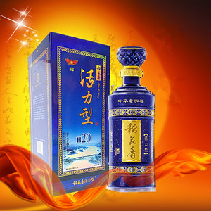 稻花香活力型h20浓香型42°酒中高度高粱酒商务礼盒装湖北名酒