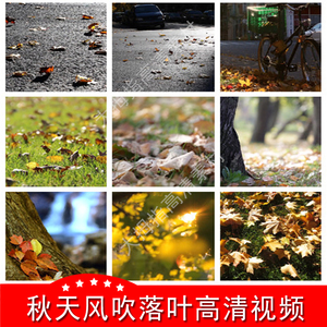 秋天风吹落叶树叶 唯美阳光午后 自然风景空镜头 高清视频素材