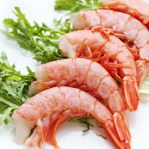 阿根廷冷冻野生红虾