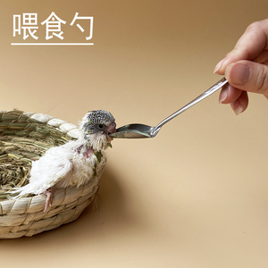 鸟类鹦鹉喂食器喂食勺喂奶勺手养鸟鹦鹉喂奶粉幼鸟不锈钢喂食器