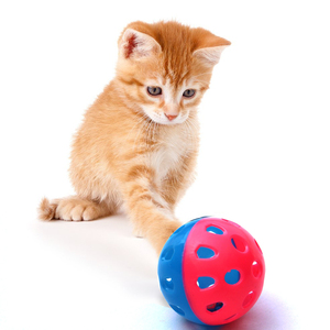 猫玩具猫用品宠物玩具球形玩具铃铛球