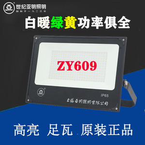 上海世纪亚明LED投光灯ZY609户外灯防水射灯黄绿暖超亮工程灯照明