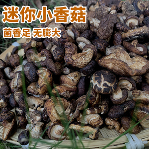 迷你小香菇干菌菇特级天然野生煲汤吃云南腾冲原始森林特产500克