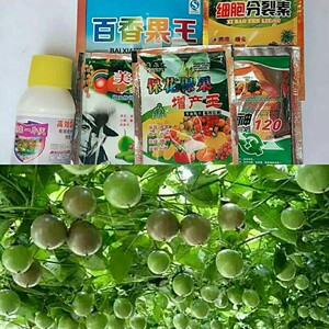 蓟马专用药套装豆角百香果芒果辣椒西瓜唑虫酰胺农药杀虫剂1人付款65
