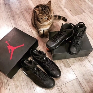 air jordan 6 black cat aj6黑猫 全黑 gs 384664-020