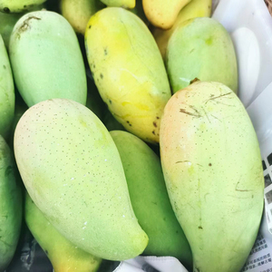 云南普洱特产景谷本地象牙芒果当季新鲜水果树上自然成熟整箱包邮