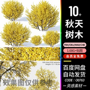 c4d秋天季植物树木黄色叶子白蜡树灌木3d模型3dmax素材obj建模fbx