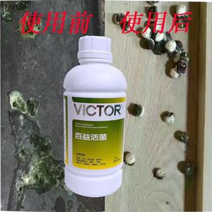 汉诺威百益活菌 500ml 鸽药 汉诺威鸽药 信鸽药品 赛鸽改善肠道